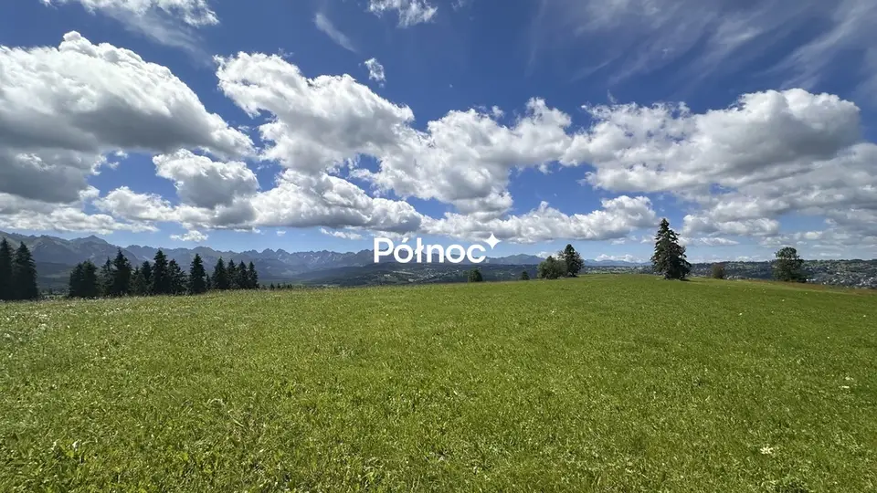 Zdjęcie 2