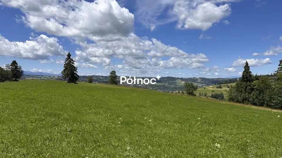 Zdjęcie 4