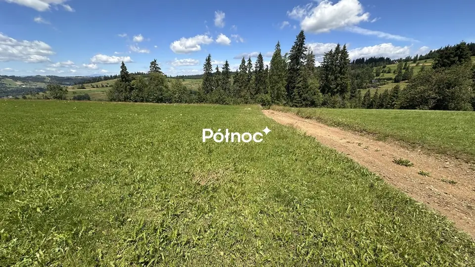 Zdjęcie 5