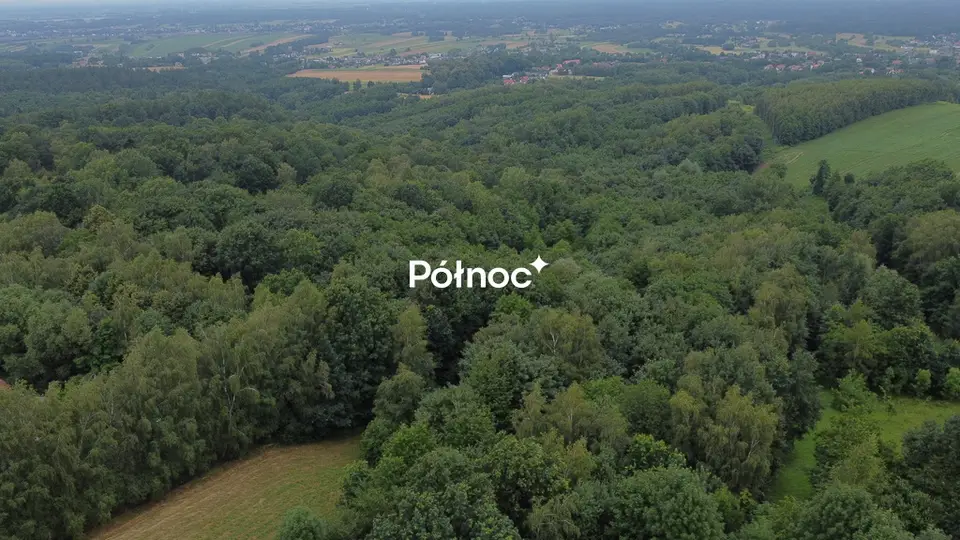 Zdjęcie 7