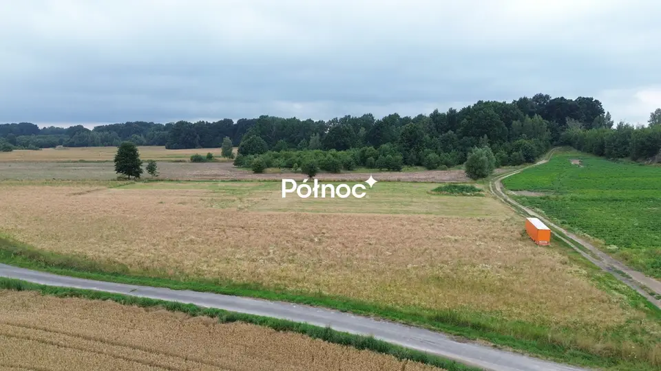 Zdjęcie 2