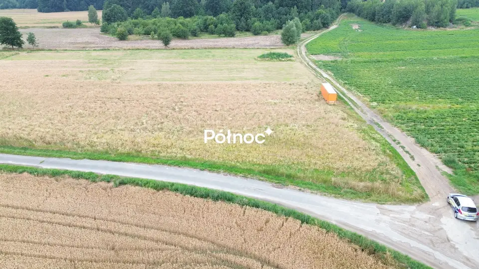 Zdjęcie 4