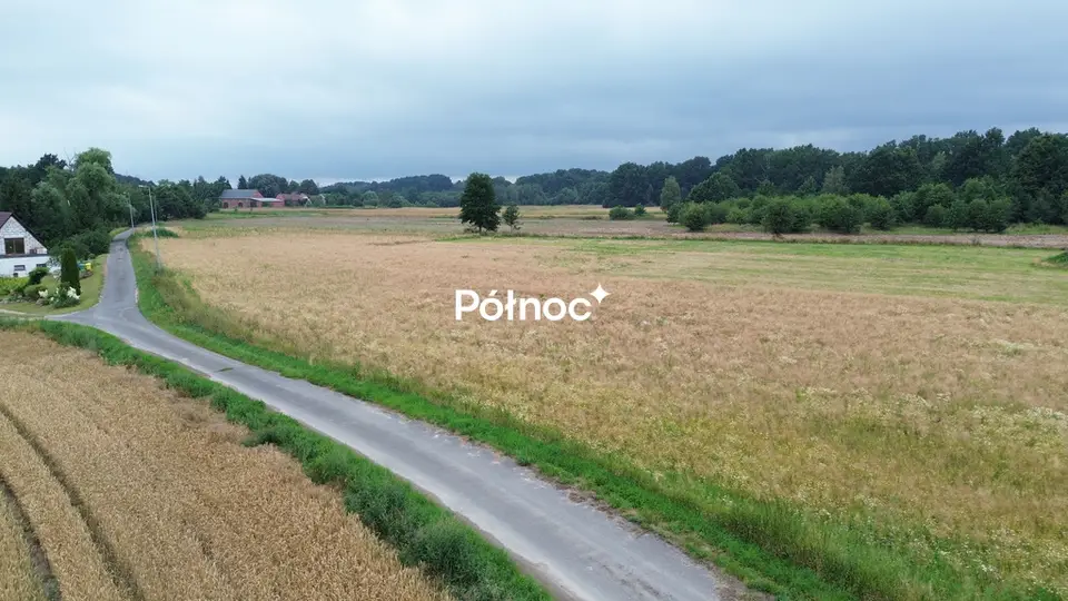 Zdjęcie 5