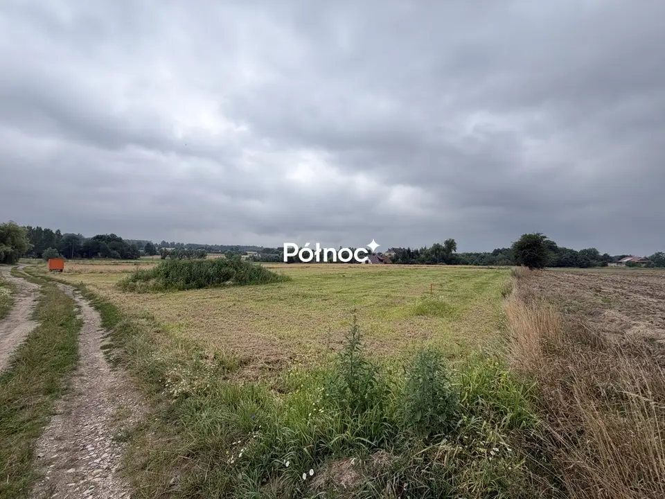Zdjęcie 7