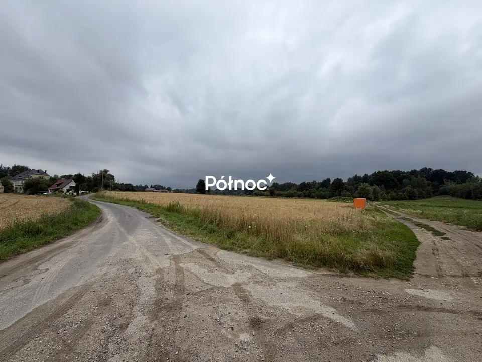 Zdjęcie 8