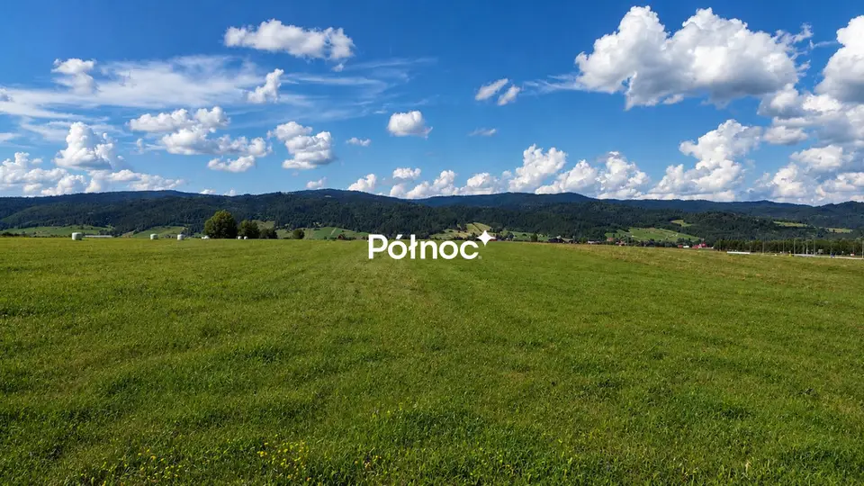 Zdjęcie 2