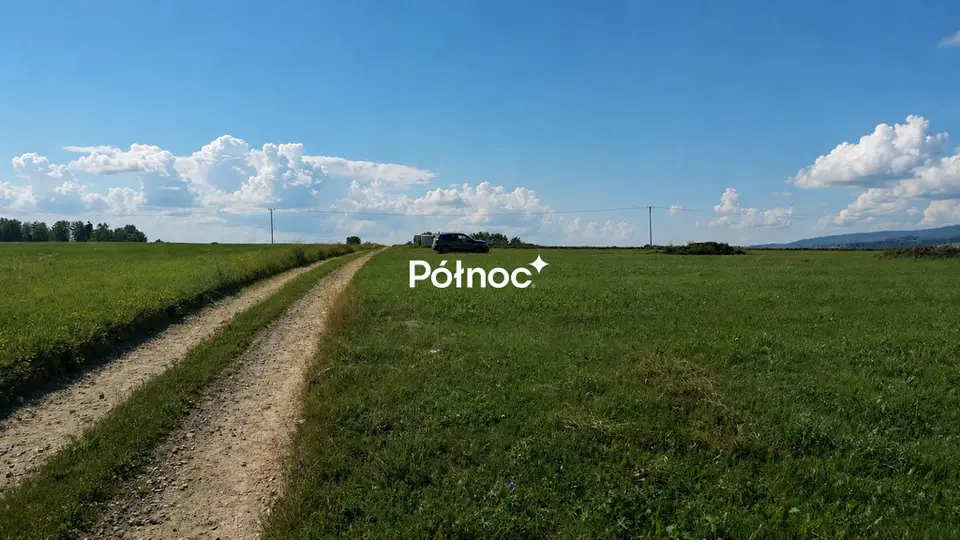 Zdjęcie 6