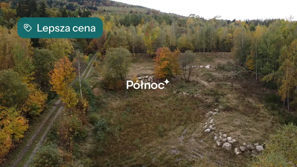 Zdjęcie 3