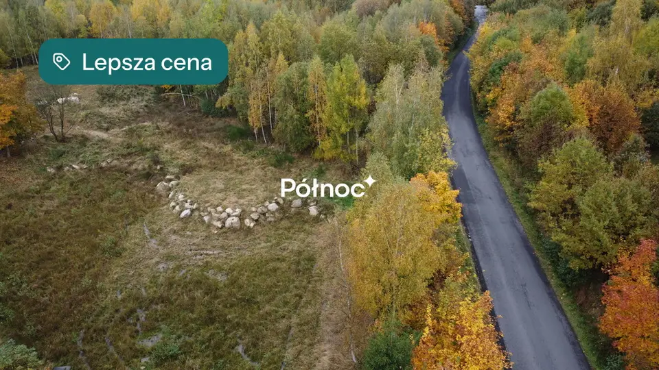 Zdjęcie 6