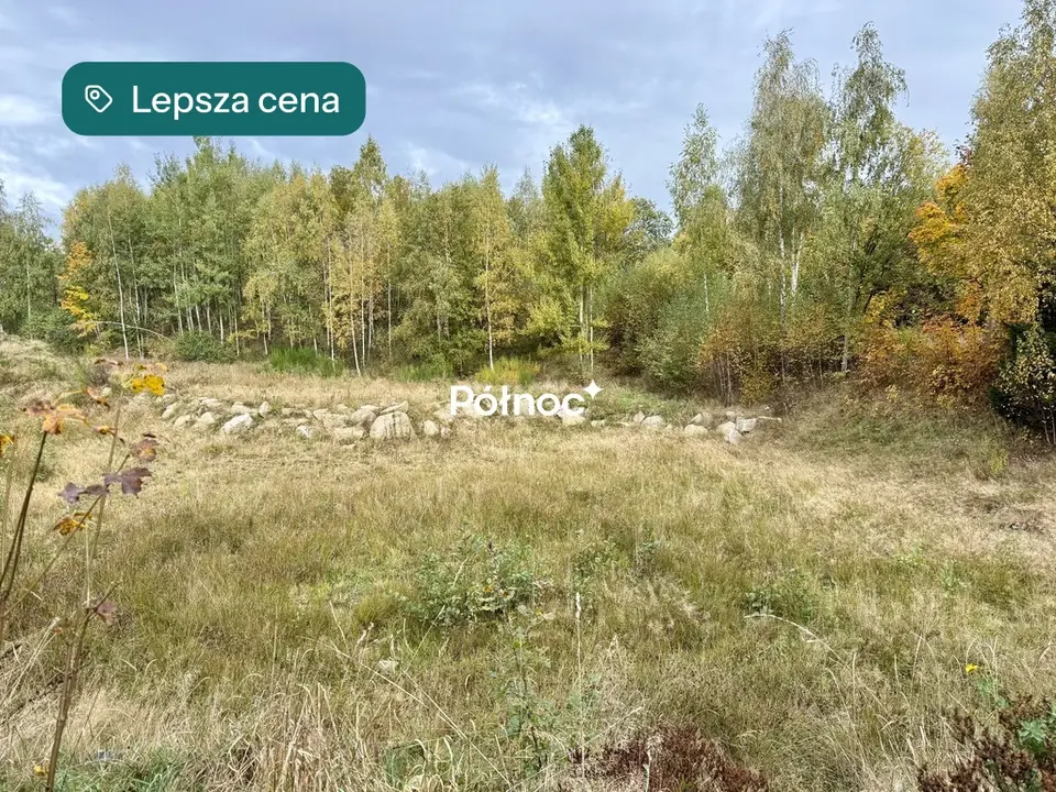 Zdjęcie 9