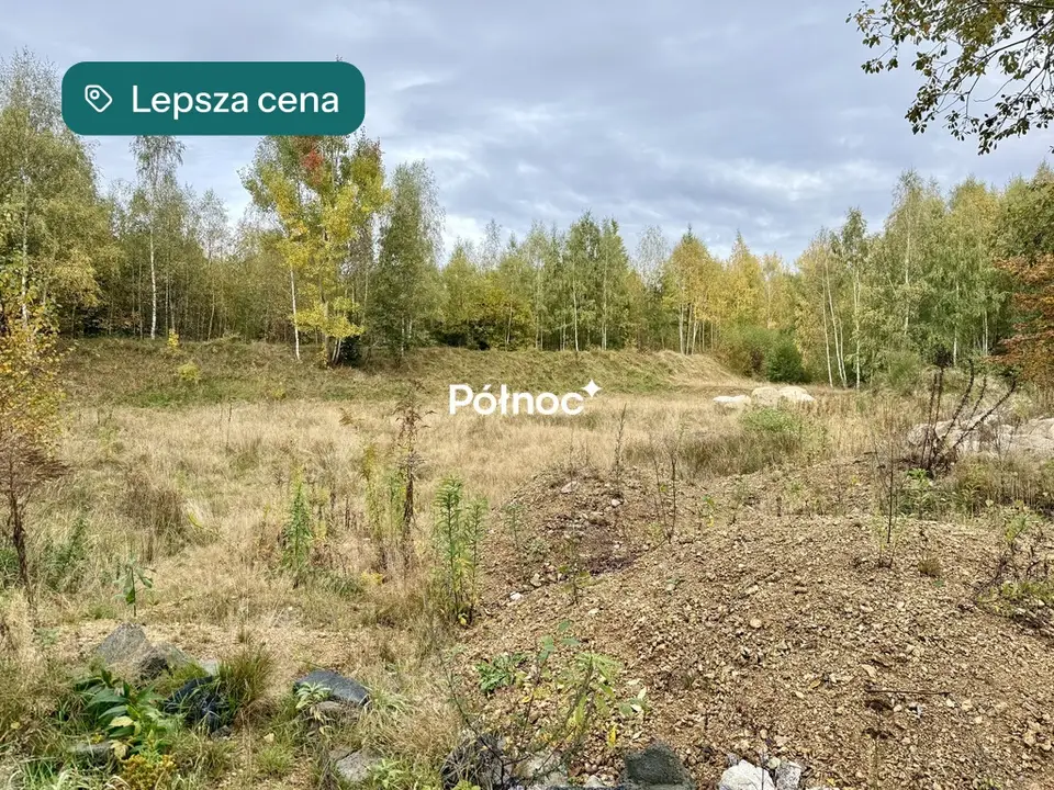 Zdjęcie 10