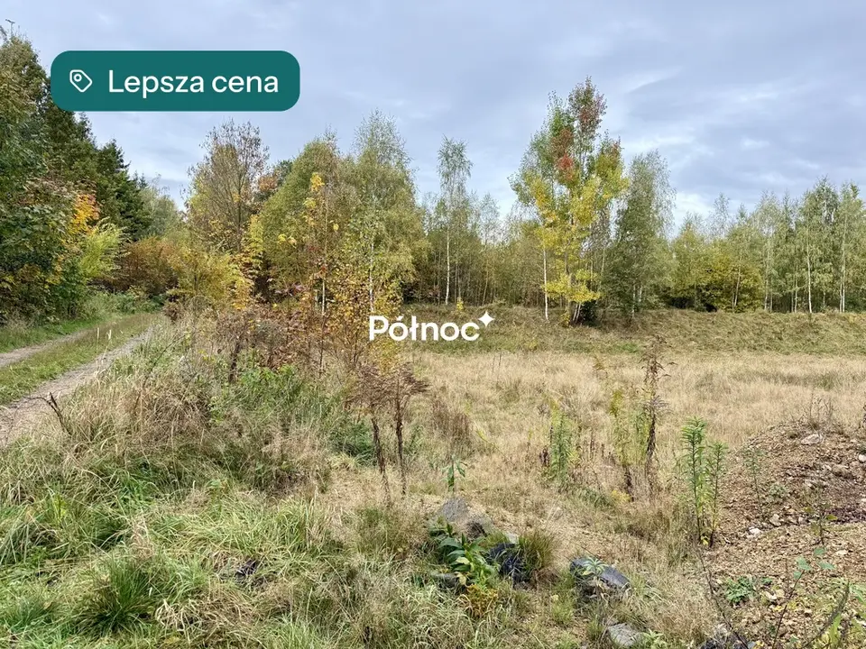 Zdjęcie 11