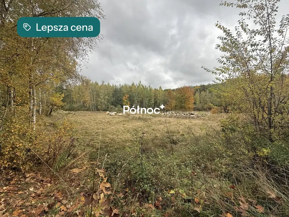 Zdjęcie 14