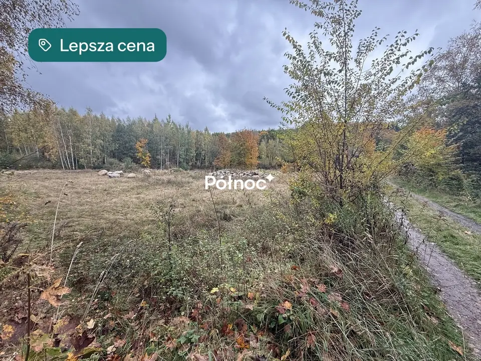 Zdjęcie 15