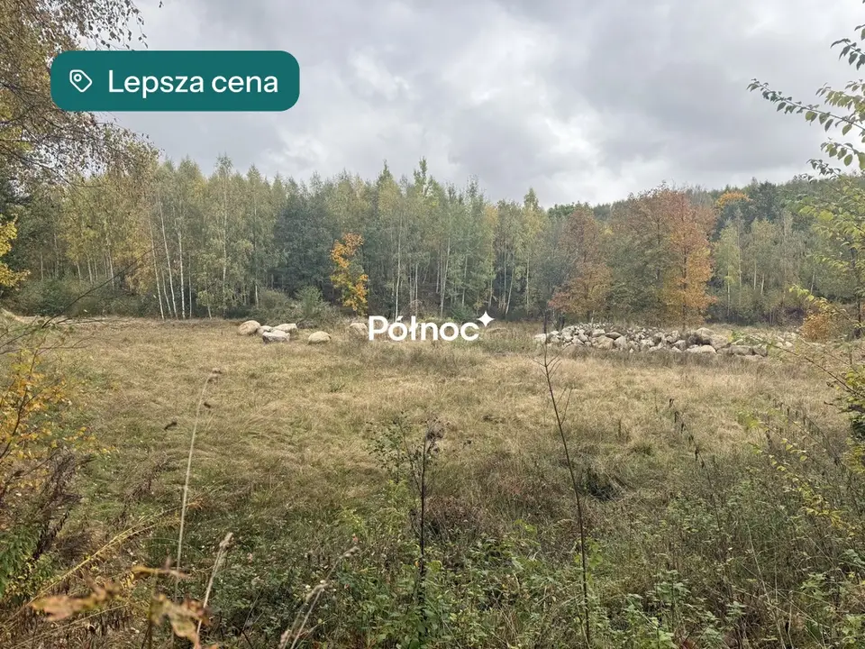 Zdjęcie 16