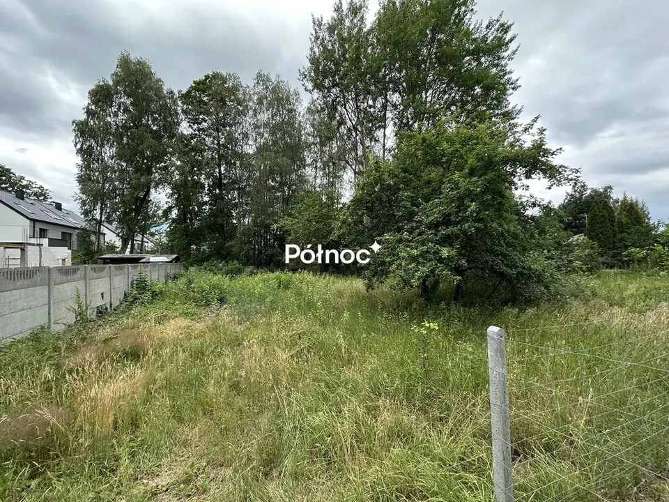 Zdjęcie 6