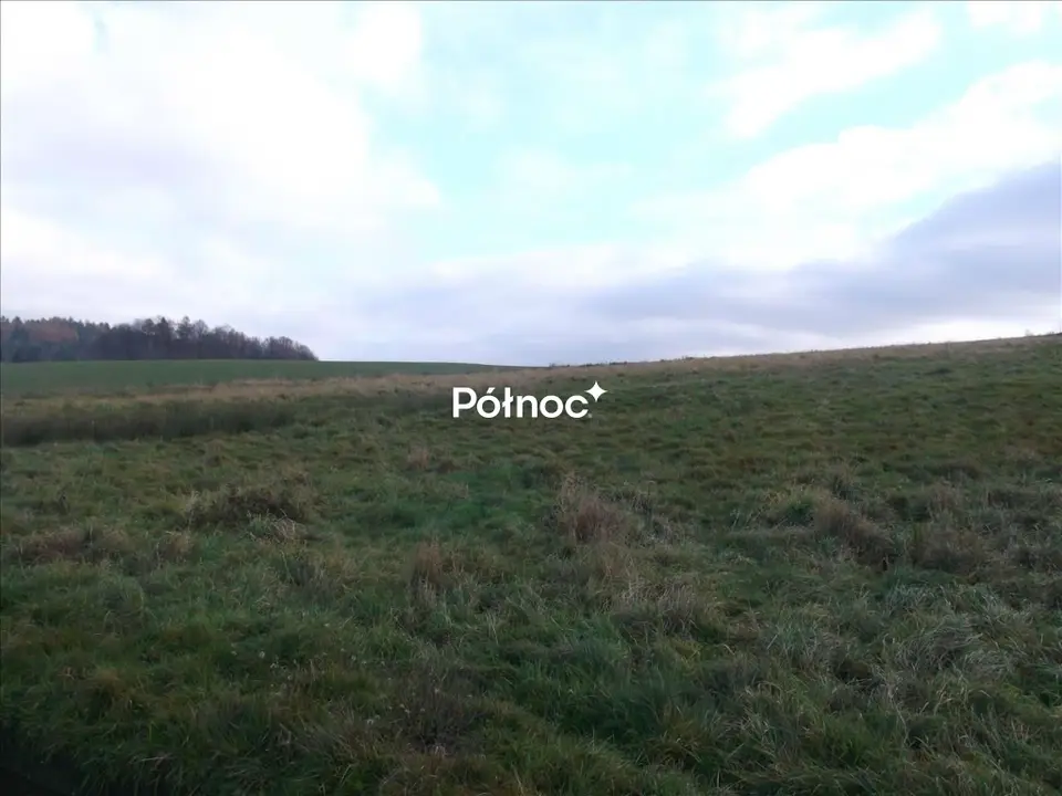Zdjęcie 2