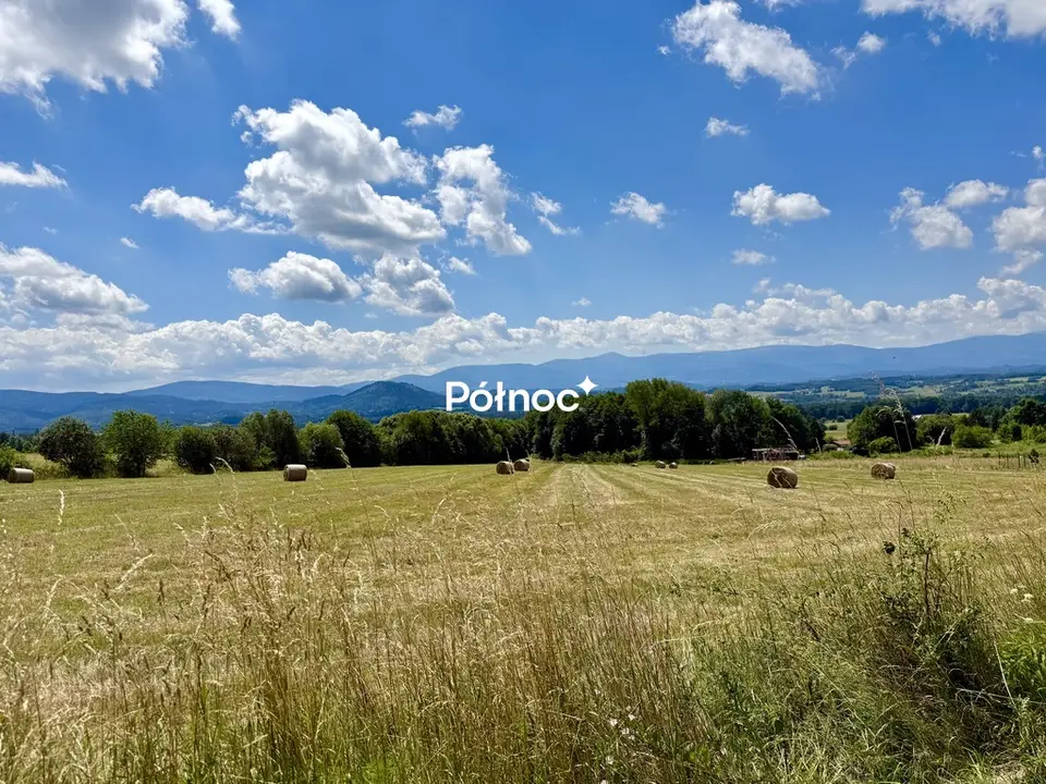 Zdjęcie 5