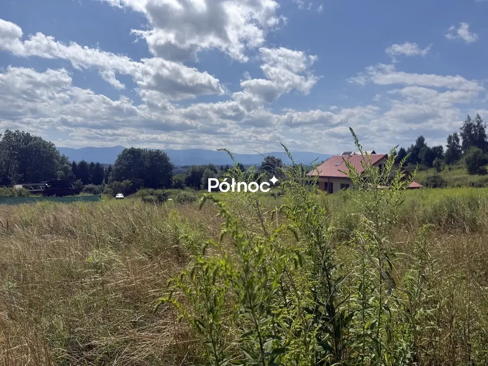 Zdjęcie 10