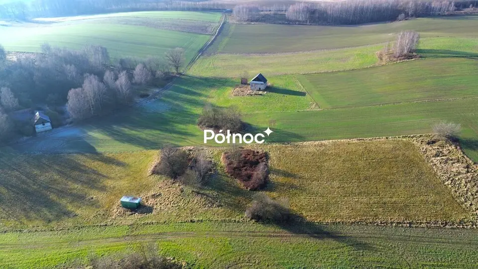 Zdjęcie 2