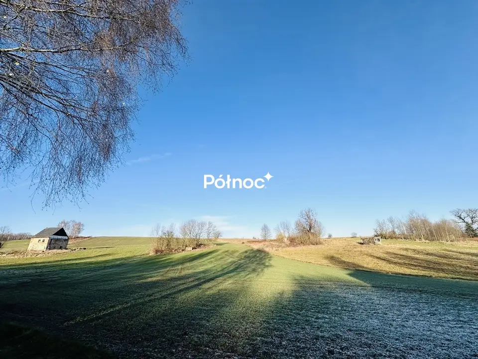 Zdjęcie 4