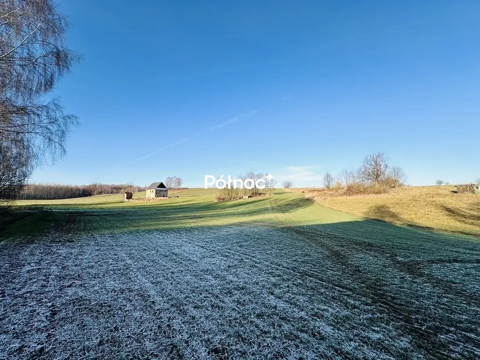 Zdjęcie 5