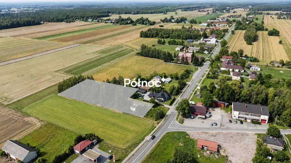 Zdjęcie 7