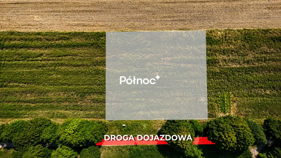 Zdjęcie 3