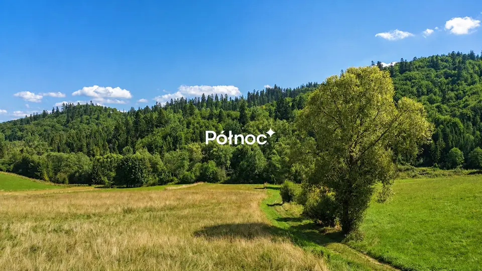 Zdjęcie 6