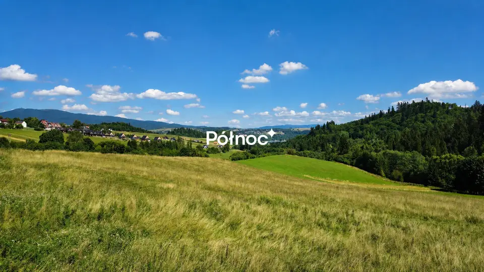 Zdjęcie 7