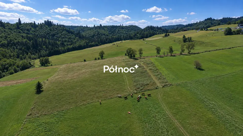 Zdjęcie 8