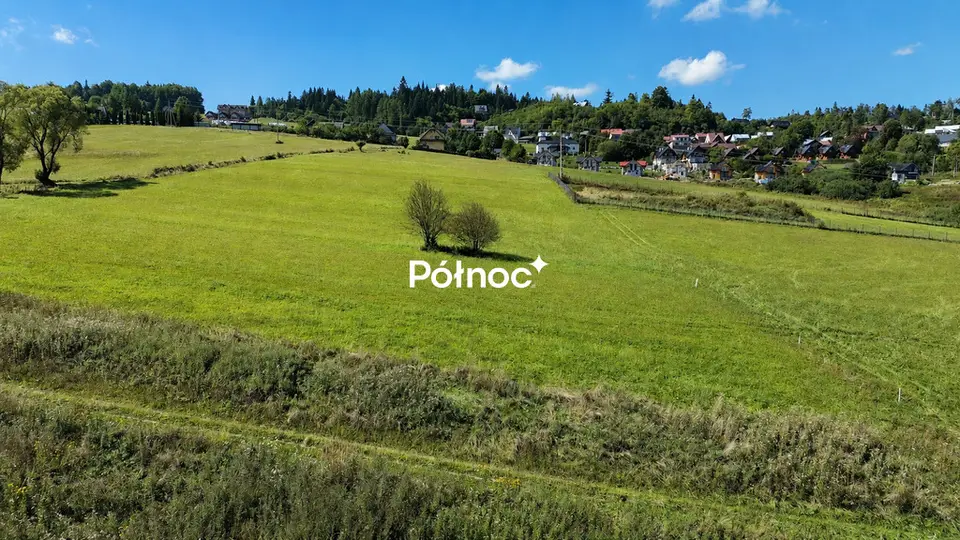 Zdjęcie 10