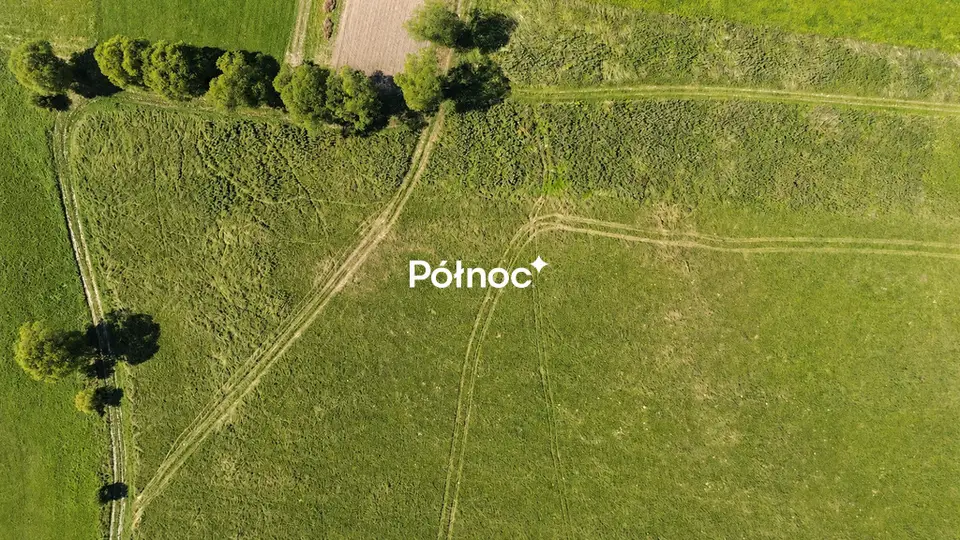 Zdjęcie 11