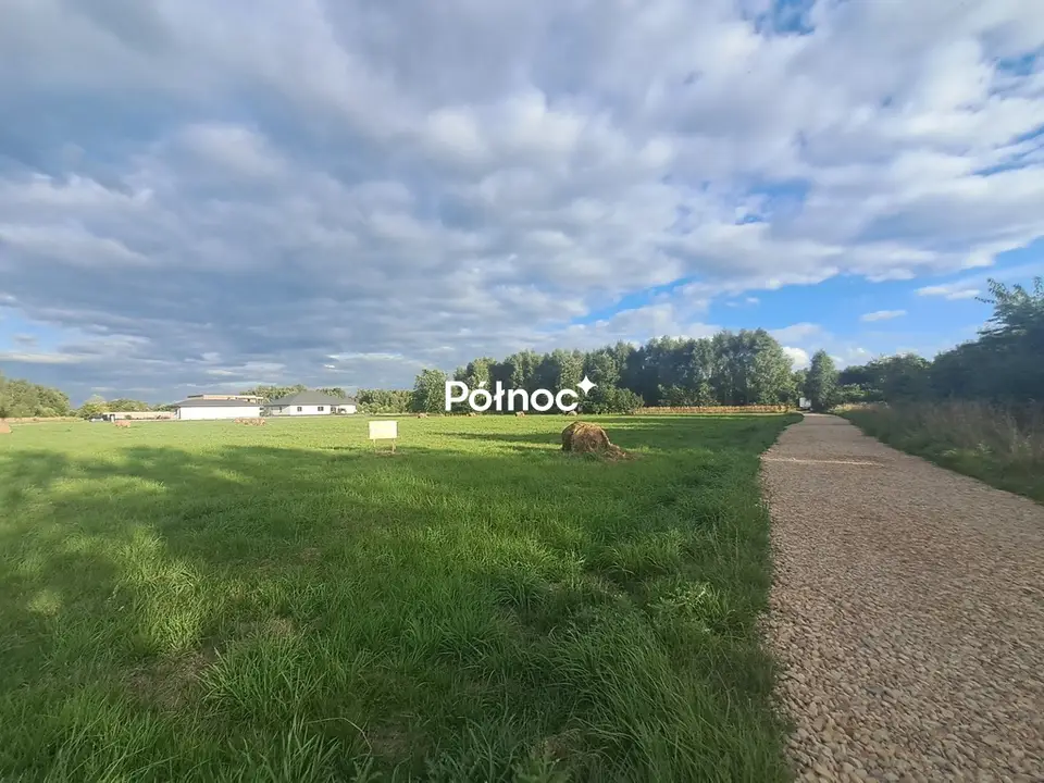 Zdjęcie 2