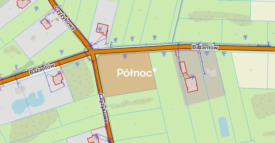 Zdjęcie 5