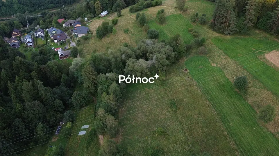 Zdjęcie 2
