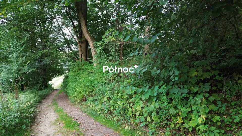 Zdjęcie 3