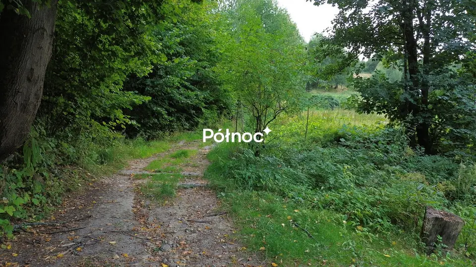 Zdjęcie 4