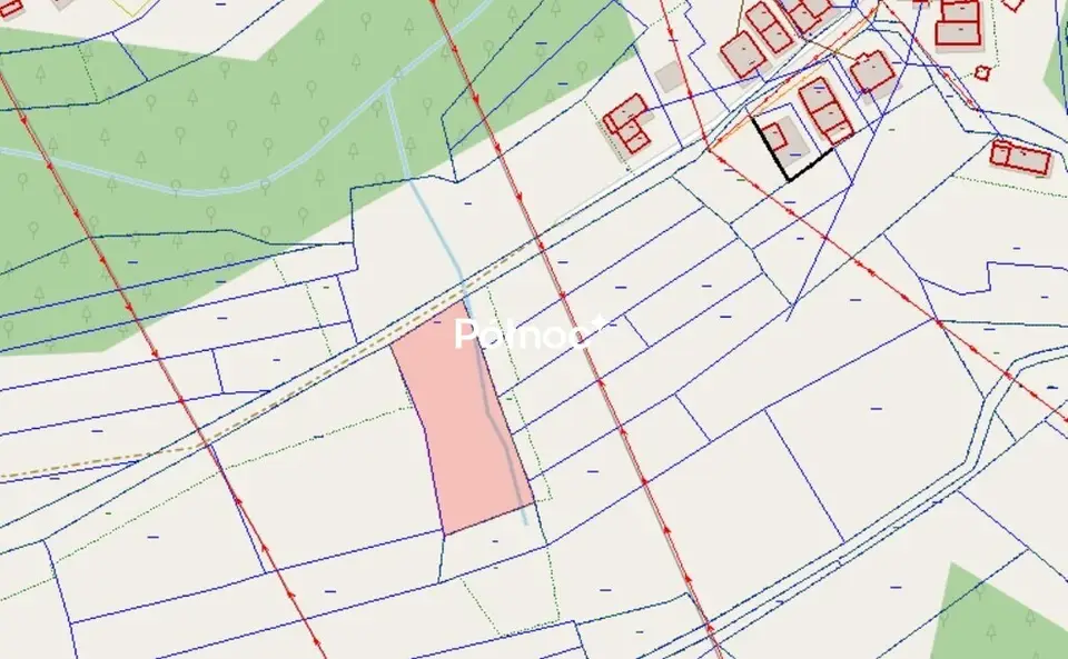 Zdjęcie 6