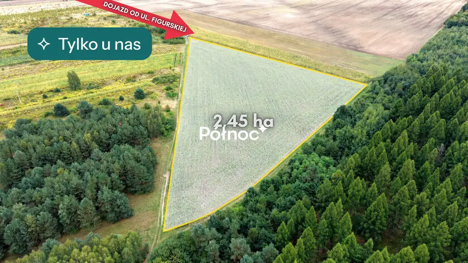 Działka rolna 2,45 ha, Zagórze