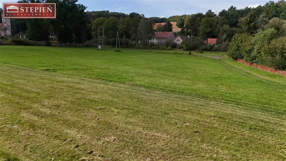 Zdjęcie 8