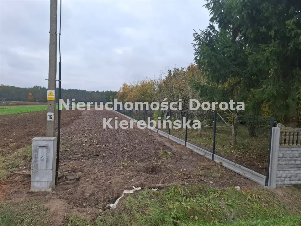 Zdjęcie 3