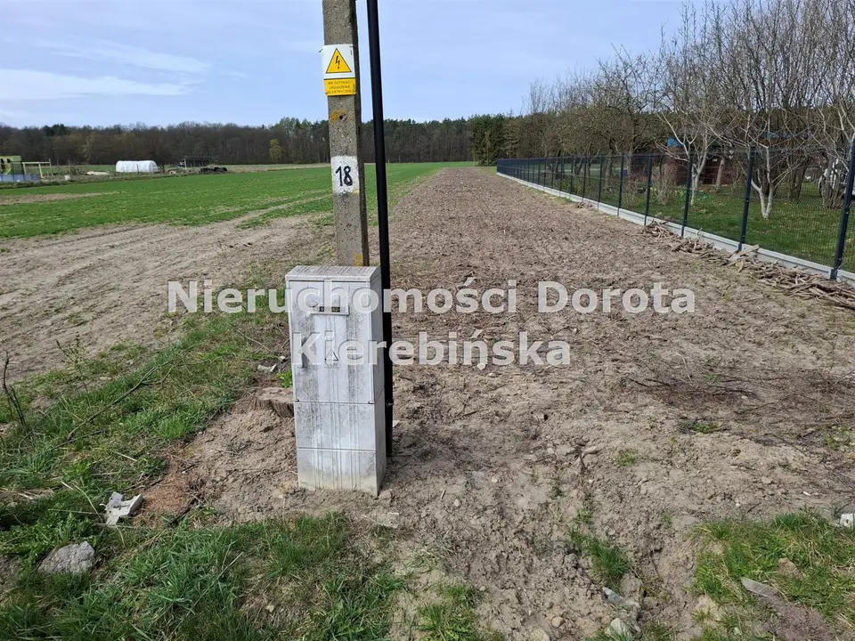 Zdjęcie 6