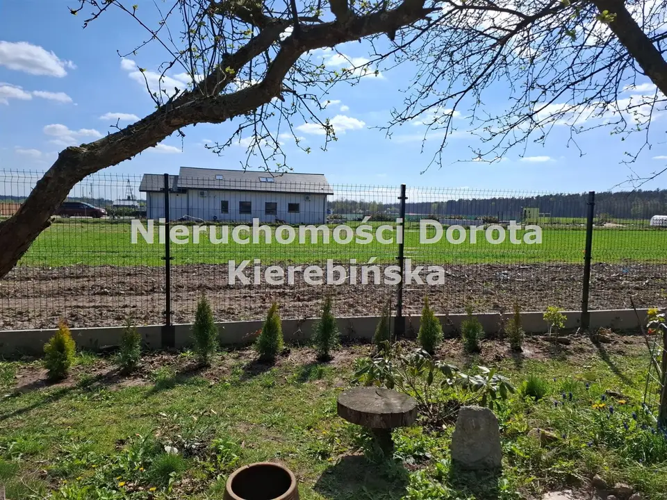 Zdjęcie 10
