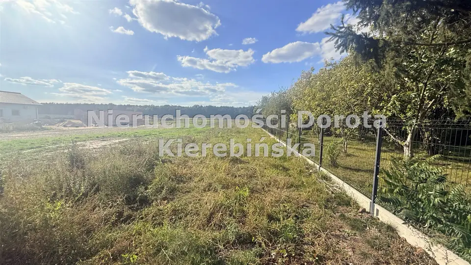 Zdjęcie 11