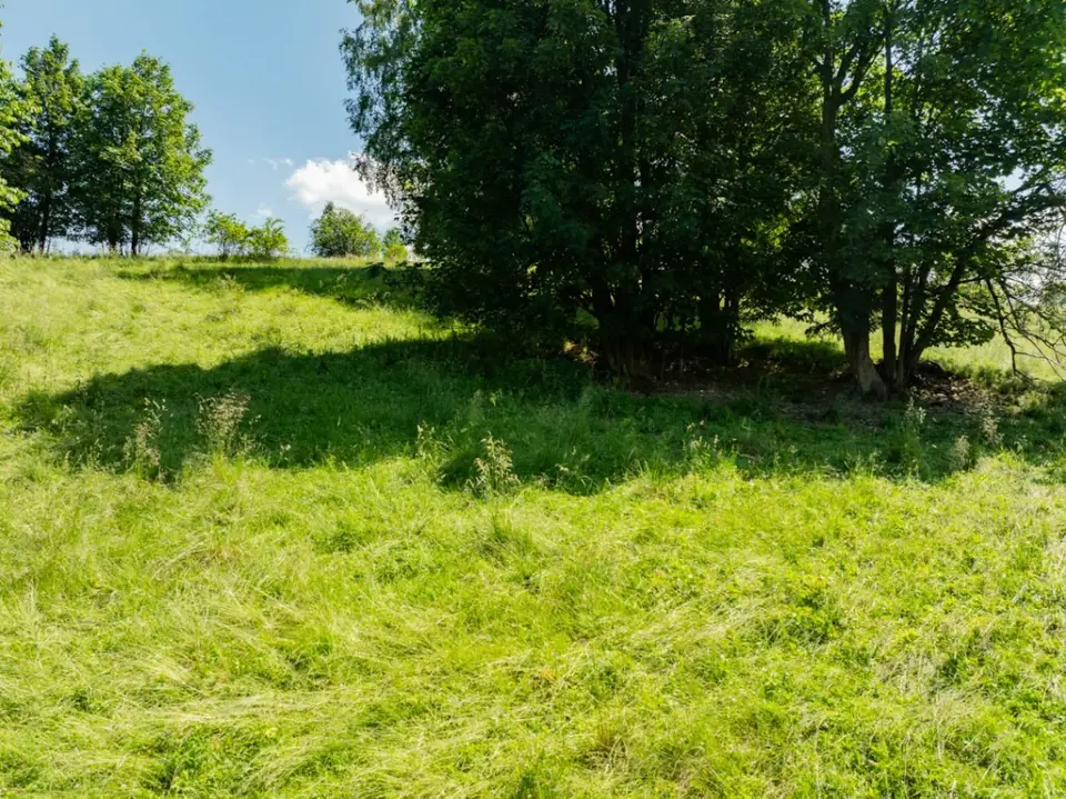 Zdjęcie 6