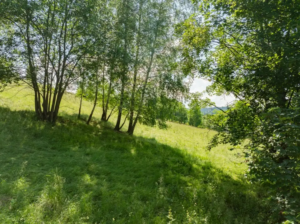 Zdjęcie 8