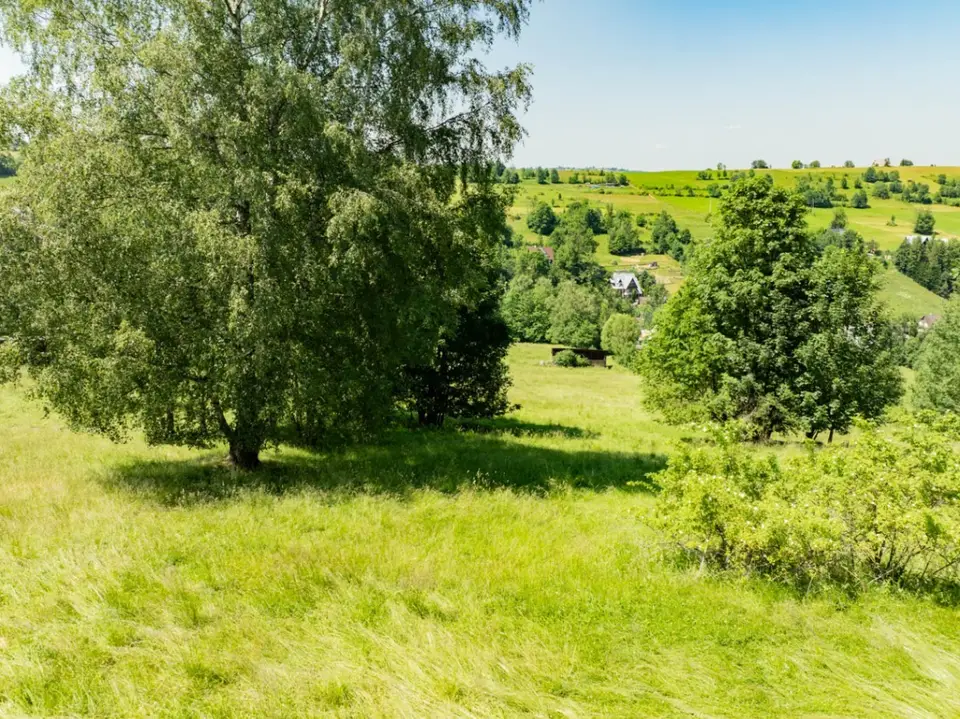 Zdjęcie 10