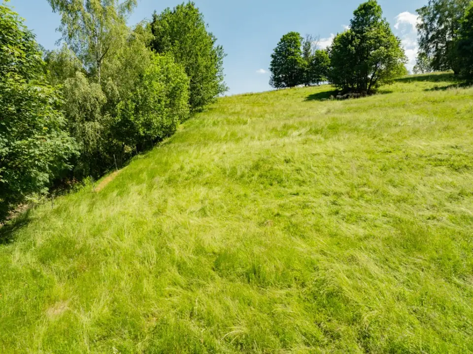 Zdjęcie 13