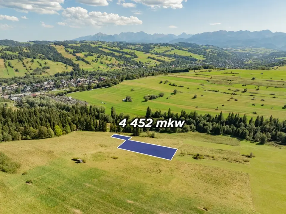 Działka rolna 4 452 m², Biały Dunajec